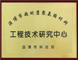 淄博市超耐磨聚氨酯材料工程技术中心