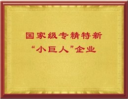 国家级专精特新“小巨人”企业