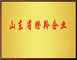 山东省“瞪羚企业”