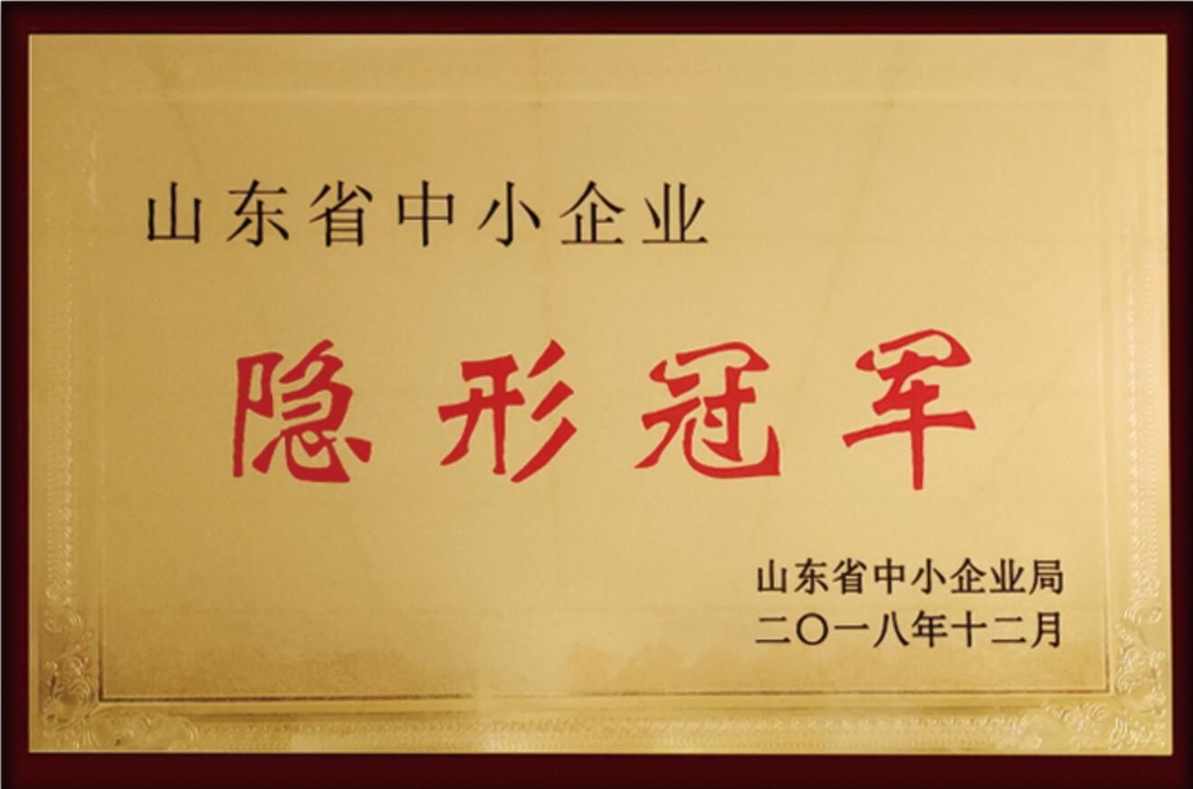 山東省中小企業隱形冠軍