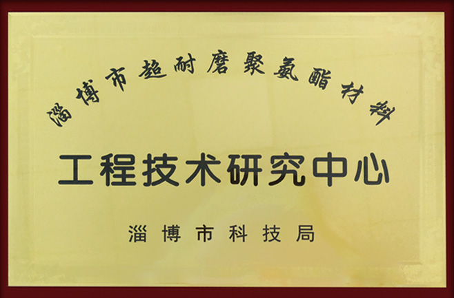 淄博市超耐磨聚氨酯材料工程技術中心