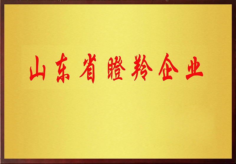 山東省“瞪羚企業”